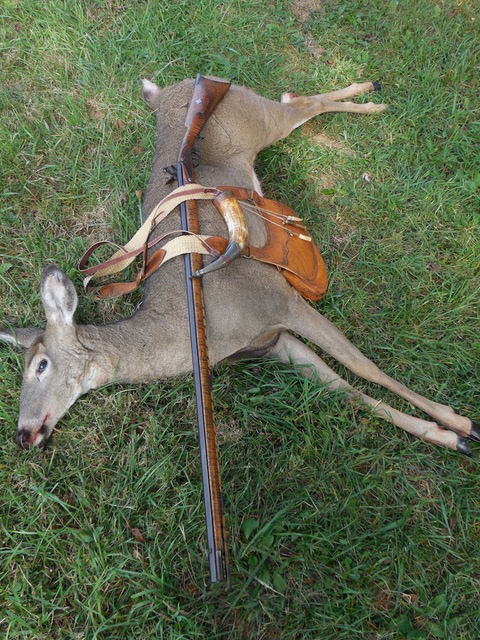 Art Lander S Outdoors A Look At Kentucky S Early Muzzleloader Deer