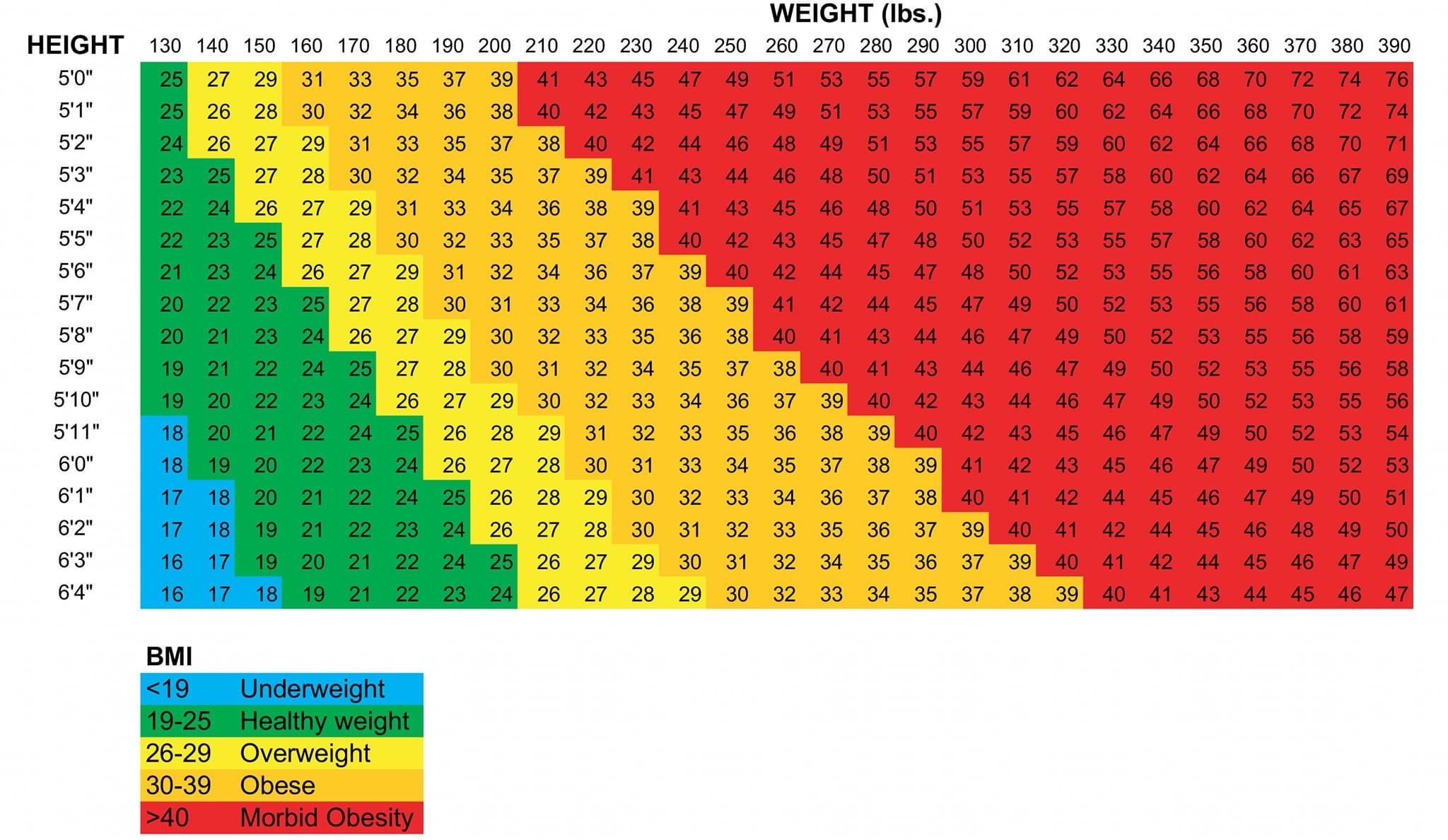 Bmi Calculator Kids Grossstupid