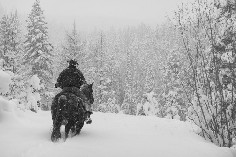 Flathead National Forest Montana