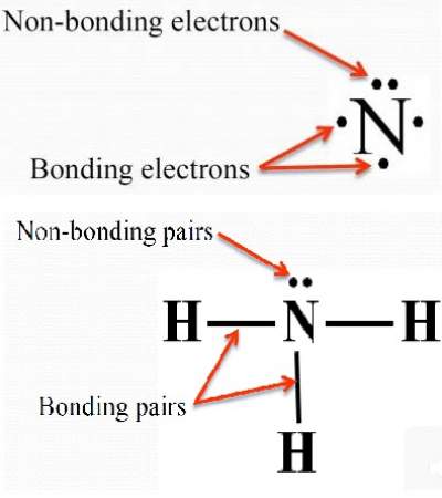 How To Find Electron Domains