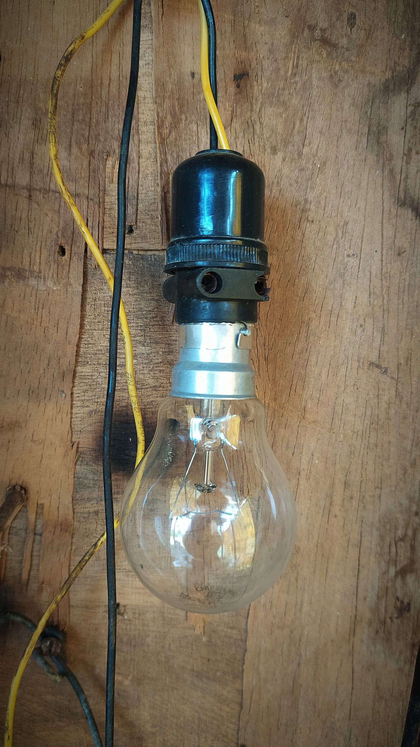 Incandescent Light Bulb