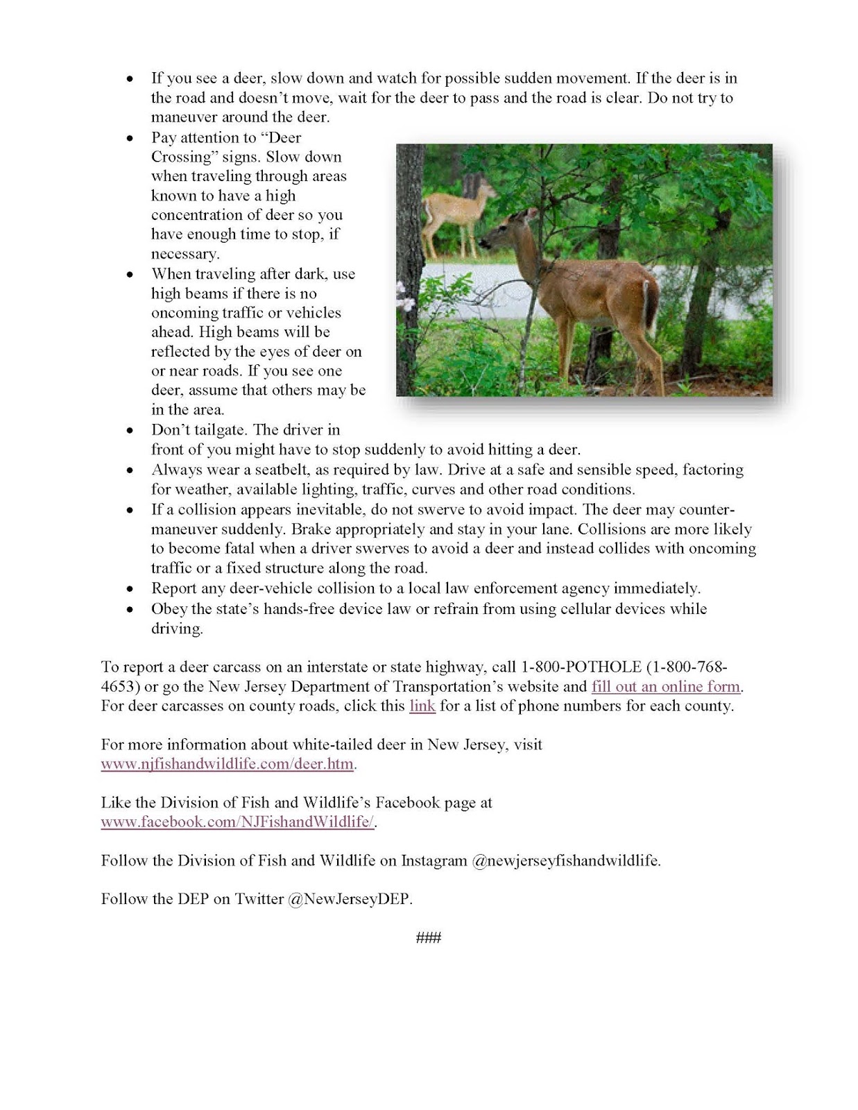 Riverside Township Nj Blog Deer Mating Season Begins