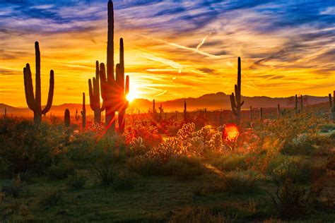 Sunset In Phoenix